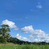 yangke_dua2