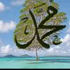 mutas.dagan