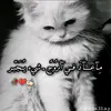 abdurahman.develi