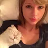 tayloreditz_