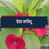 user297095010825