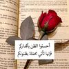 mahmoud.elsadat1