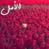 user59068625812070