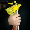vti_n0