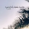 abboud30118