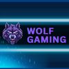 wolfgamezpub
