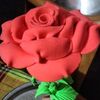 user97727200023166