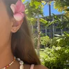 mari_luiza_rotina_prepyy