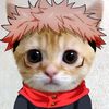 elgatooooo33