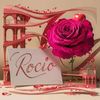 rocio.rivera2770