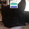 gabosgabiota