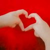 fatimajaffery1272