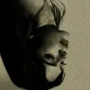 oxl_n1