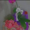 .ali70533