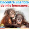 cotrucion