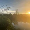 .sususu96