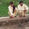 qasimkhan1408