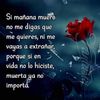 magdasanchez547