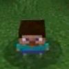 nat_botmc