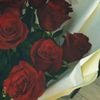 salma.mohamed_1344