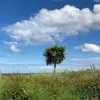 thebigkahuna14