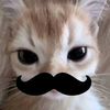 daniel.otalora8