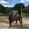 Gustavo Ferreira 