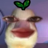 myumi_9