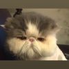 103022beaukitty