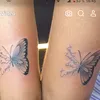 pauli.zm