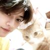 straycat3s