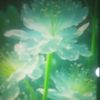 user9880761185495