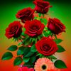 user71092603469381