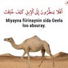 hakiimi139