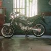 sywy66