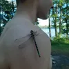 dobriparen