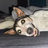 lenyxwi