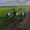 beregiohqmq