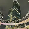 tadanokoukousei09