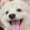 hii__051