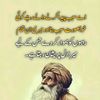 syed.syed.badshah