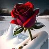 user5441594111486
