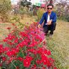tapan.shikder