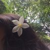 littlekasih