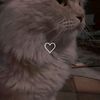 bassant.emad.farag