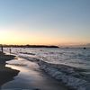 amoula3195