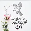 user2919478261954