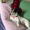cindylove823