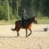 helena.andstrm
