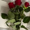 aseeil23